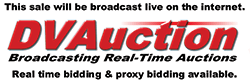 DV Auction logo